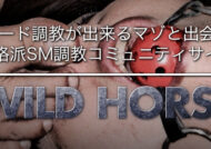 本格派ハードSM調教コミュニティサイト！【Wild_Horse】